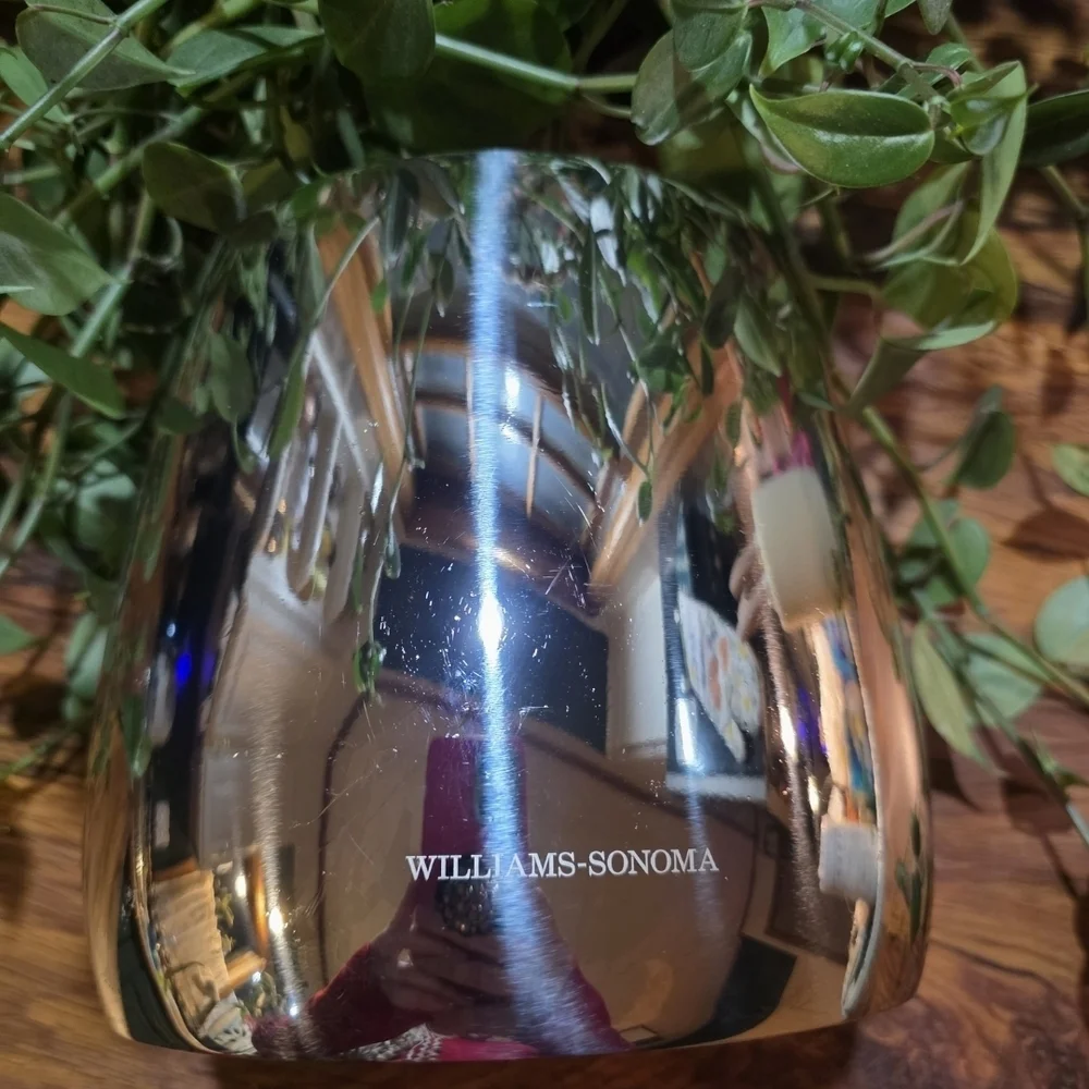 Williams Sonoma Silver Utensil Holder